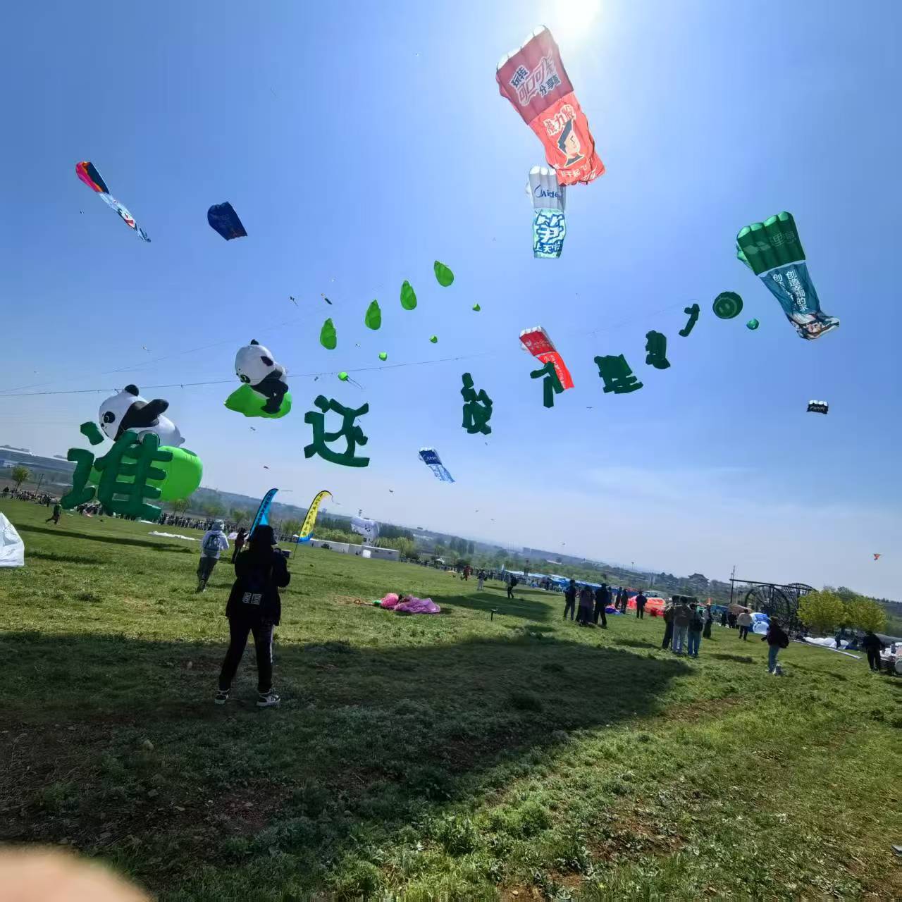 鹰潭市风筝制作风筝定制 - 价格